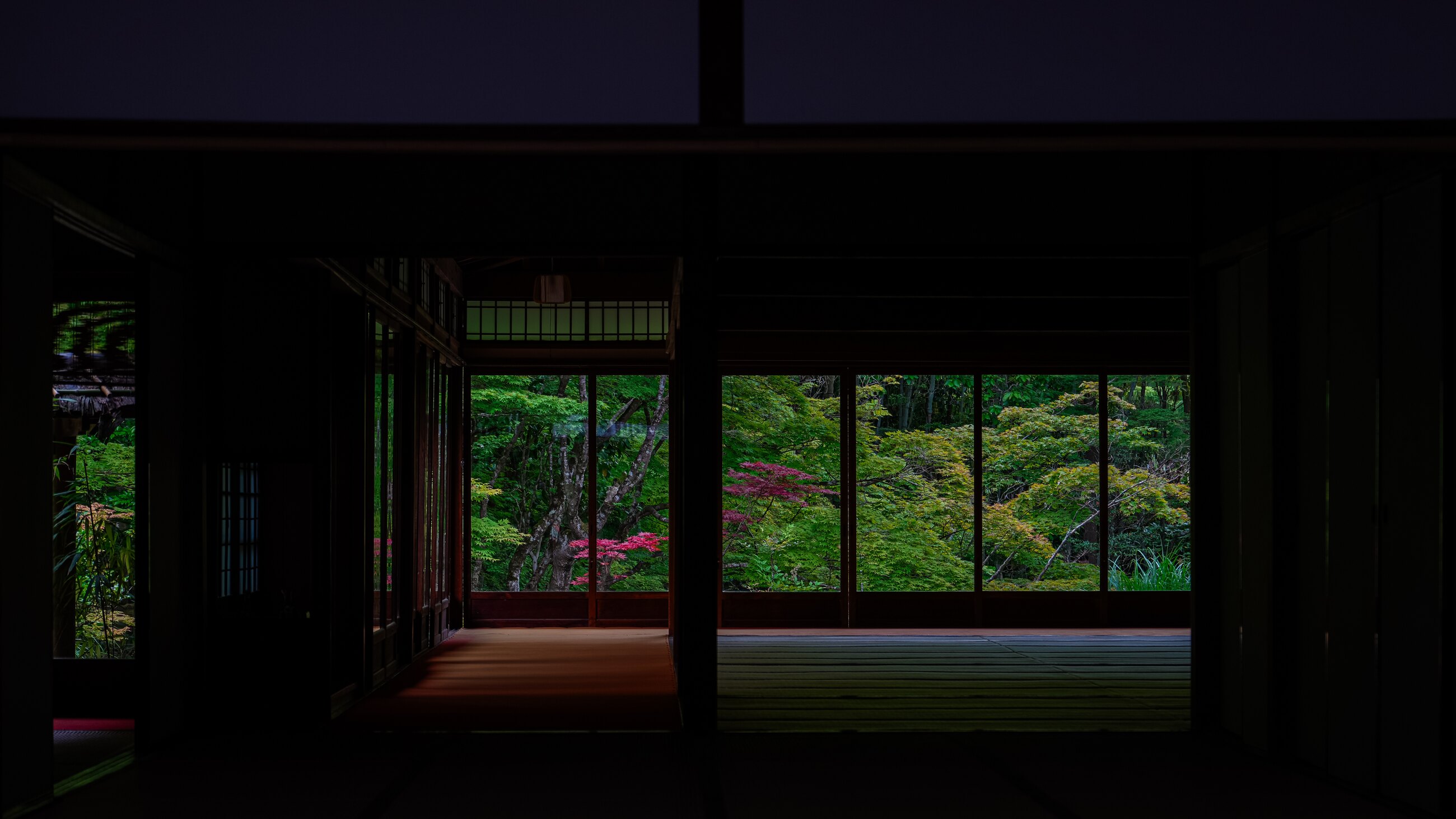 A shadowed Kyoto corridor opening onto a vivid green garden